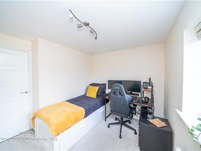Picture 14